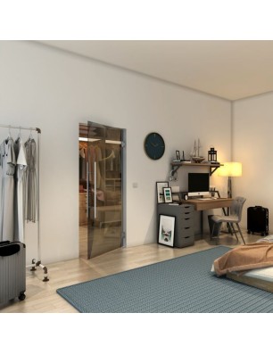 Pendeltür - Fineprint Model 009 Gold auf Grauglas