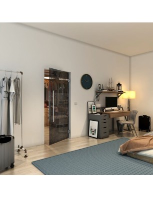 Pendeltür - Fineprint Model 020 Schwarz auf Grauglas