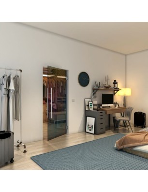 Pendeltür - Fineprint Model 028 Verlauf auf Grauglas