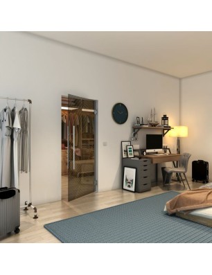 Pendeltür - Fineprint Model 028 Gold auf Grauglas