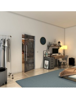 Pendeltür - Fineprint Model 034 Schwarz auf Grauglas