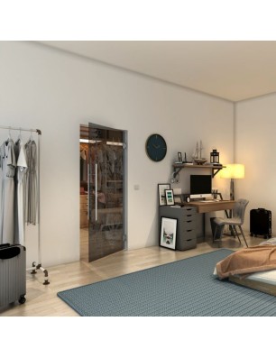 Pendeltür - Fineprint Model 080 Schwarz auf Grauglas