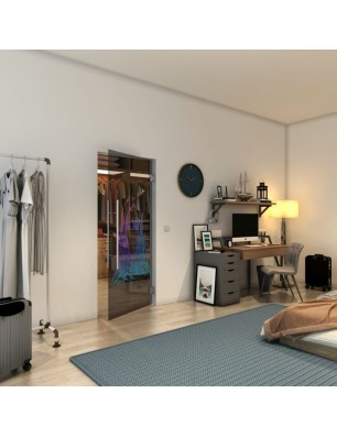 Pendeltür - Fineprint Model 119 Verlauf auf Grauglas