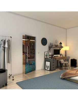 Pendeltür - Fineprint Model 155 Verlauf auf Grauglas