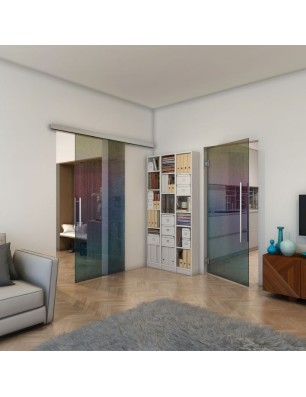 Pendeltür - Fineprint Model 063 Verlauf auf Grauglas