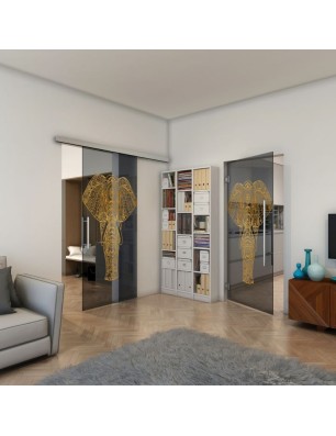 Pendeltür - Fineprint Model 078 Gold auf Grauglas