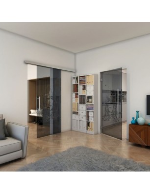 Pendeltür - Fineprint Model 119 Schwarz auf Grauglas