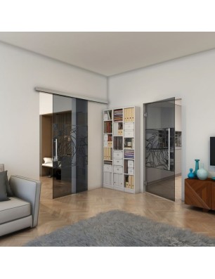 Pendeltür - Fineprint Model 137 Schwarz auf Grauglas