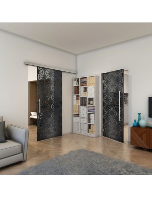 Pendeltür - Fineprint Model 187 Schwarz auf Grauglas