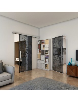 Pendeltür - Fineprint Model 204 Schwarz auf Grauglas