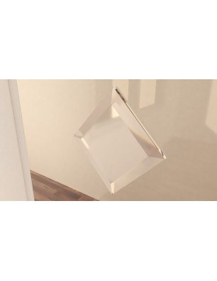 Ganzglastür BREST mit Facettensteinen