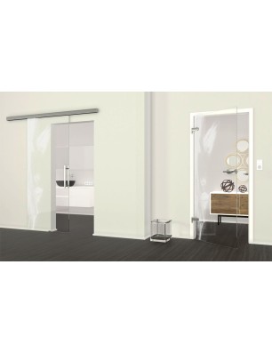 Ganzglastür Silhuette Gelasert Auf Klarglas