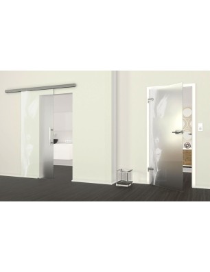 Ganzglastür Silhuette Gelasert Auf Klarglas