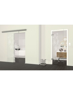 Ganzglastür Blume 9 Gelasert Auf Klarglas