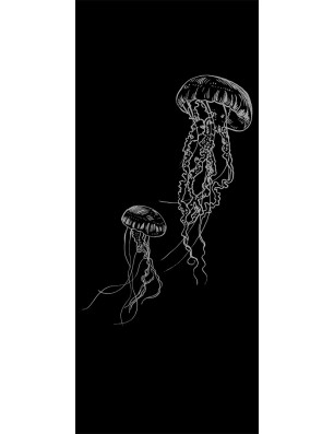 Ganzglastür Qualle Gelasert Auf Klarglas