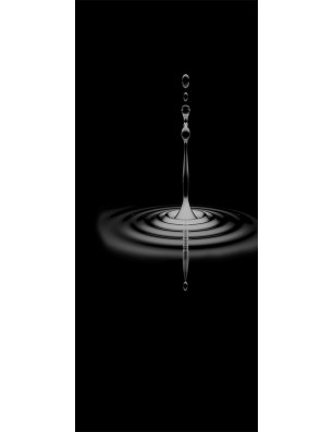 Ganzglastür Wasser 4 Gelasert Auf Klarglas