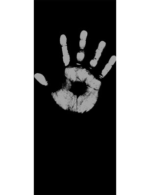 Ganzglastür Hand Gelasert Auf Klarglas