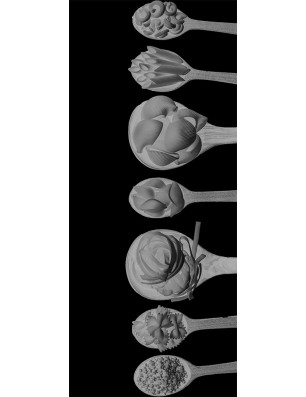 Ganzglastür Pasta Gelasert Auf Klarglas