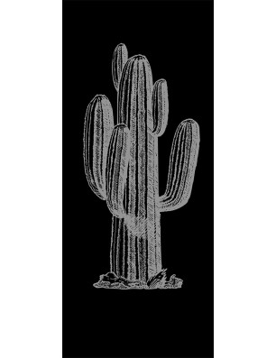 Ganzglastür Kaktus Gelasert Auf Klarglas