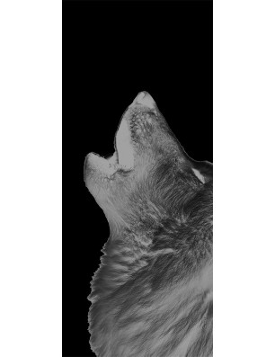 Ganzglastür Wolf 2 Gelasert Auf Klarglas