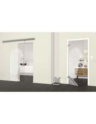 Ganzglastür Sittich Gelasert Auf Klarglas