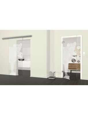 Ganzglastür Löwin Gelasert Auf Klarglas