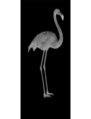 Ganzglastür Flamingo Gelasert Auf Klarglas