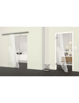 Ganzglastür Camelion Gelasert Auf Klarglas