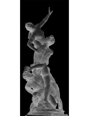 Ganzglastür Michelangelo Gelasert Auf Klarglas