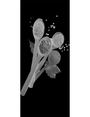 Ganzglastür Spice Gelasert Auf Klarglas