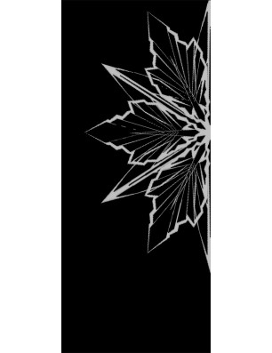 Ganzglastür Eis Gelasert Auf Klarglas