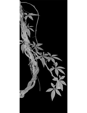 Ganzglastür Ranke Gelasert Auf Klarglas