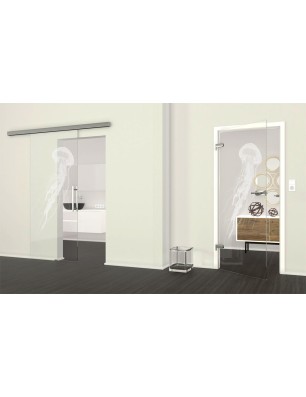 Ganzglastür Qualle II Gelasert Auf Klarglas