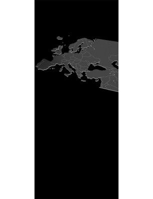 Ganzglastür Europa Gelasert Auf Klarglas