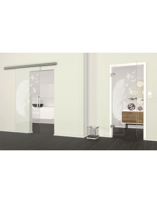 Ganzglastür Phönix I Gelasert Auf Klarglas