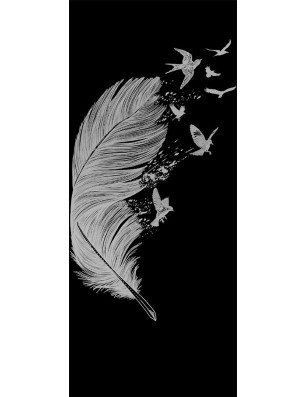 Ganzglastür Phönix I Gelasert Auf Klarglas