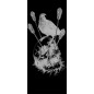 Ganzglastür Skull 2 Gelasert Auf Klarglas