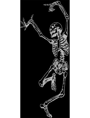 Ganzglastür Skelett Gelasert Auf Klarglas