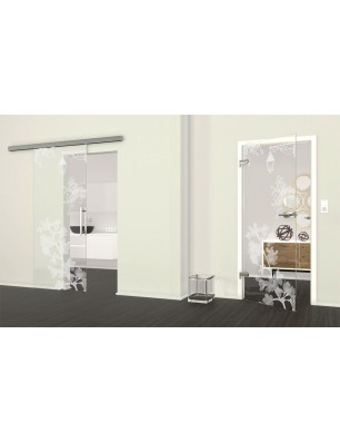 Ganzglastür Streetlamp Gelasert Auf Klarglas