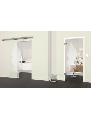 Ganzglastür Lotus Gelasert Auf Klarglas