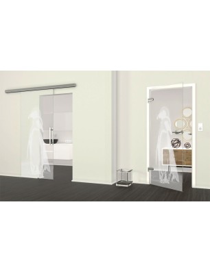 Ganzglastür Pinguine Gelasert Auf Klarglas