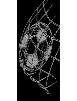 Ganzglastür Fussball Gelasert Auf Klarglas