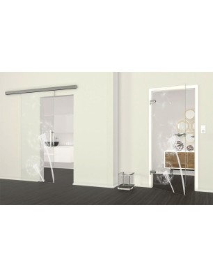 Ganzglastür Pusteblume Gelasert Auf Klarglas