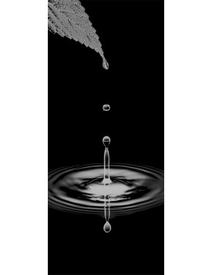 Ganzglastür Tropfen II Gelasert Auf Grauglas