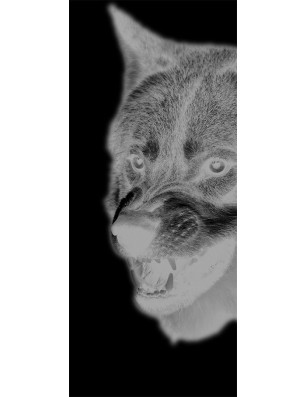 Ganzglastür Wolf Gelasert Auf Grauglas