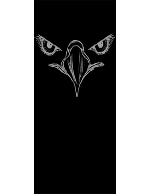 Ganzglastür Eagle Eye Gelasert Auf Grauglas