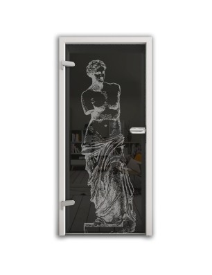 Ganzglastür Venus Gelasert Auf Grauglas