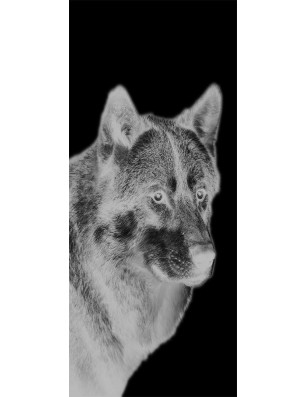 Ganzglastür Wolf 5 Gelasert Auf Grauglas