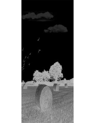 Ganzglastür Ernte II Gelasert Auf Grauglas