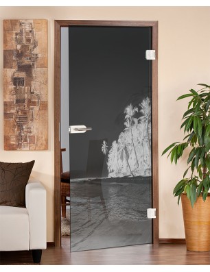 Ganzglastür Klippe Gelasert Auf Grauglas